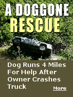 An Oregon man is lucky to be alive after his truck left the road, plummeted down an embankment, and ended up in a river. Fortunately for him, dogs truly are man's best friend. As Brandon Garrett lay stranded and injured in the deep ravine, his dog Blue ran 4 miles through the densely wooded area to get help.